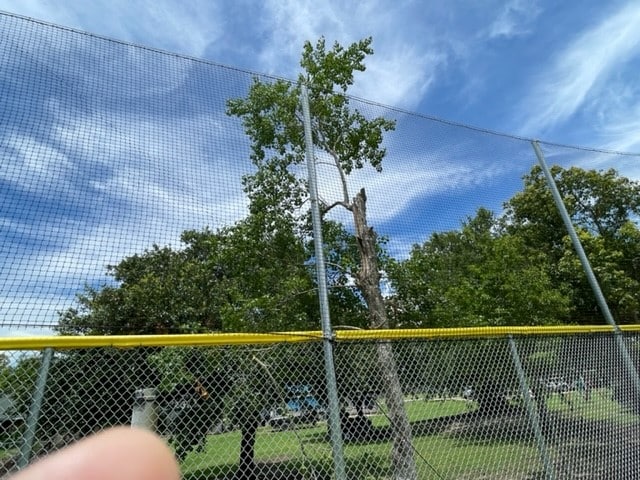 High netting placed on field 11 outfield to protect neighbors back yards on Evonne from homeruns